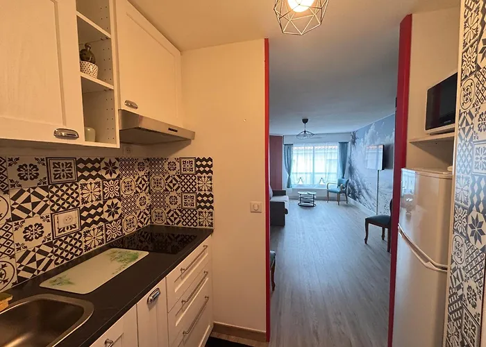 Aux Sables-d'olonne: A 50m, Pour 3 Personnes - Fr-1-197-621 公寓 莱萨布勒-多洛讷